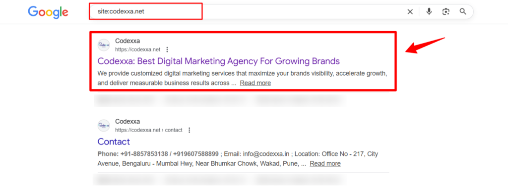 Check SEO for Ecommerce Website Indexability