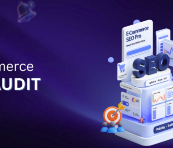 eCommerce SEO Audit